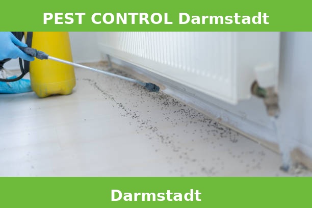 PEST CONTROL Darmstadt